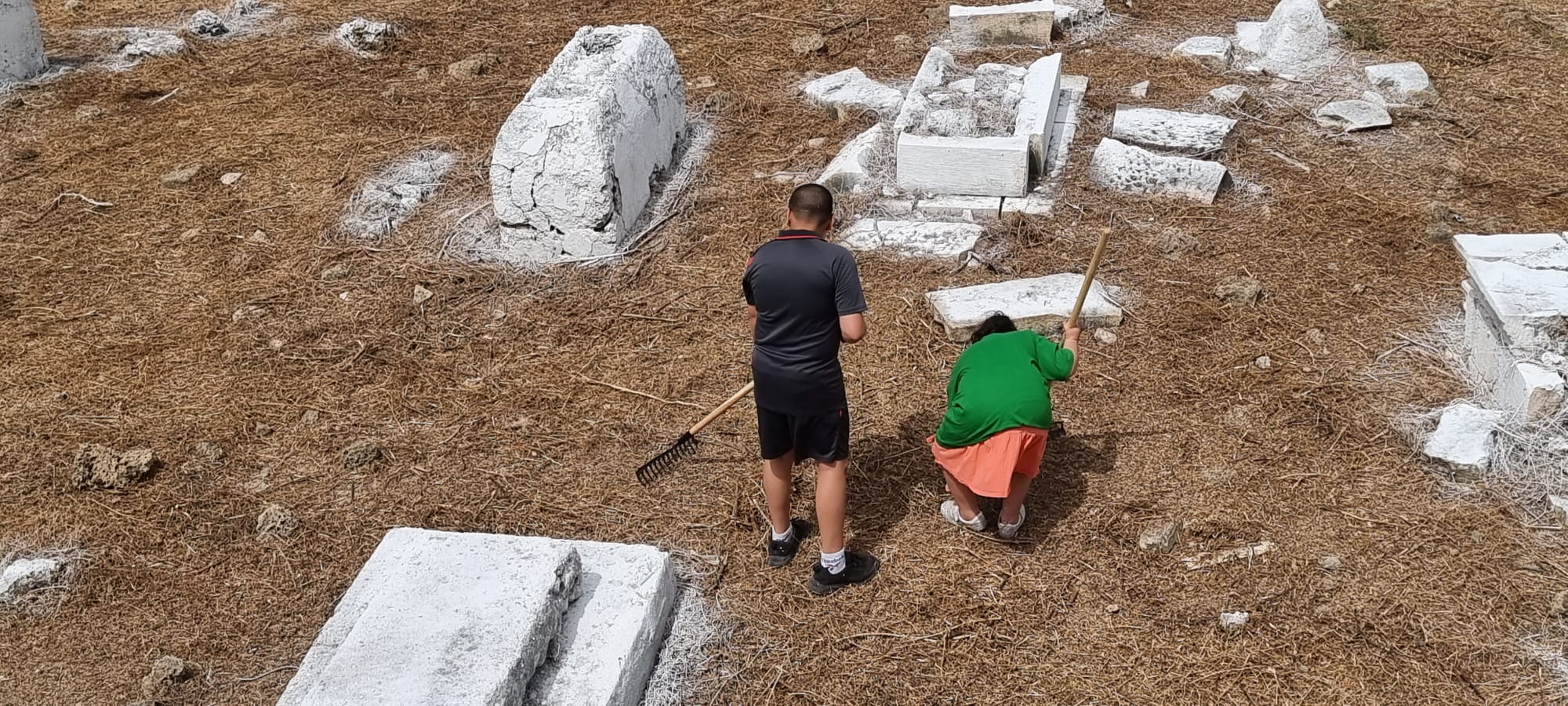 WhatsApp Image 2022-05-14 at 10.29.18 AM.jpeg